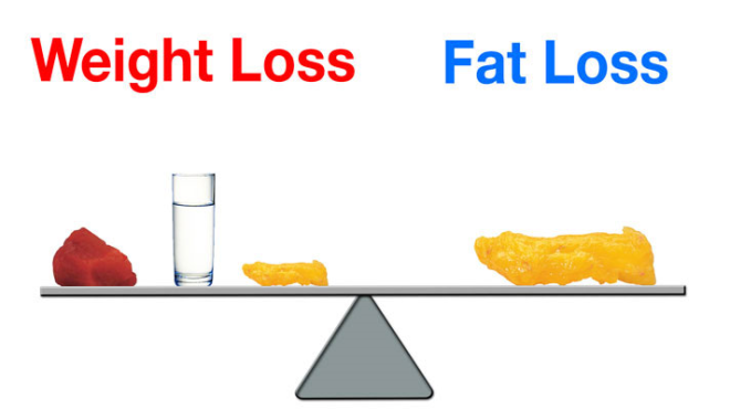 Weight-Loss-vs-Fat-Loss1-660x370